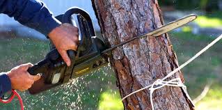 Mulching Services in Mount Holly, NC