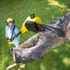 Best Emergency Tree Removal  in Mount Holly, NC